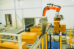 展示了兰剑智能正在大型物流核心扶植方